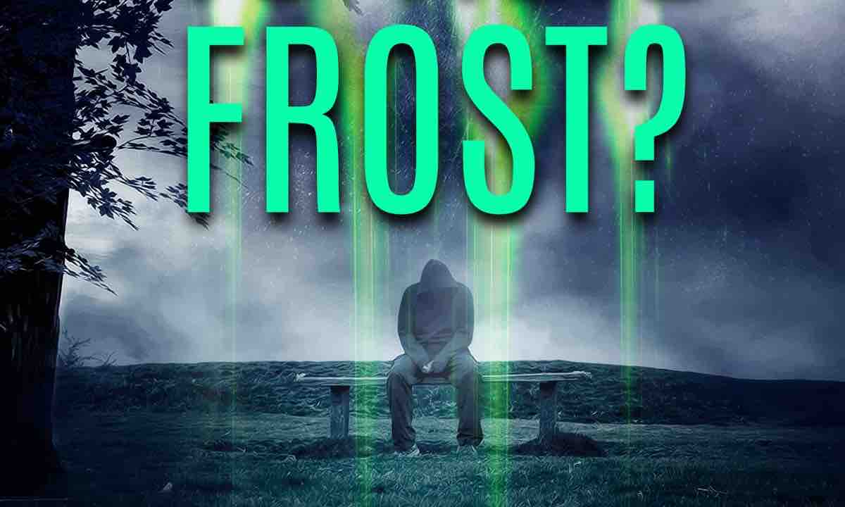 <i>What Happend To Neil Frost?</i>  <i>by E.R. Wills</i>